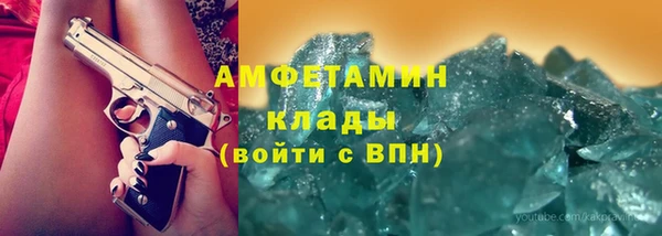 сатива Покачи