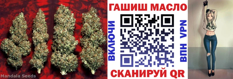 купить  цена  Чухлома  Дистиллят ТГК гашишное масло 