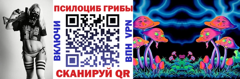 Галлюциногенные грибы Psilocybe  Чухлома 